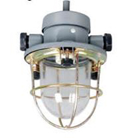 Incandescent Working Pendant Light5.jpg